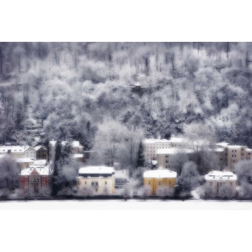 Austria, Salzburg Residences and snowy trees